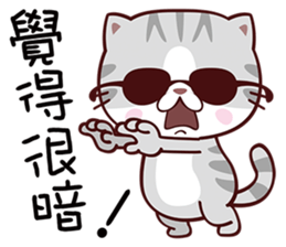 Dear Kitten sticker #13774968