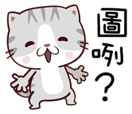 Dear Kitten sticker #13774985