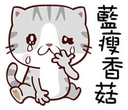 Dear Kitten sticker #13774986
