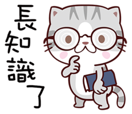 Dear Kitten sticker #13774997