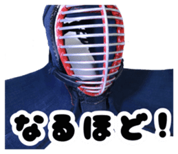 KENDO THE REAL sticker #13775024