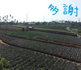 Pottery is my own creative photos sticker #13775412