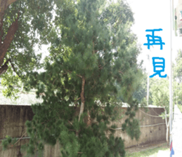 Pottery is my own creative photos sticker #13775413