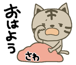 Sawa sends sticker #13775559