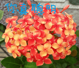 Photo of Fu Cheng Nature Scenery sticker #13775910