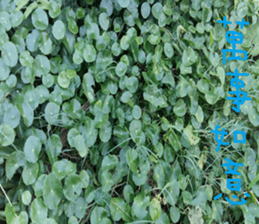 Photo of Fu Cheng Nature Scenery sticker #13775914