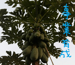 Photo of Fu Cheng Nature Scenery sticker #13775916