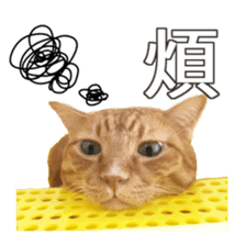 cartoon face cat sticker #13776975