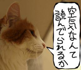 Instead tell the cat part6 sticker #13777943