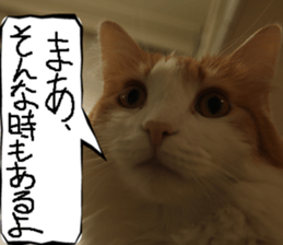 Instead tell the cat part6 sticker #13777951