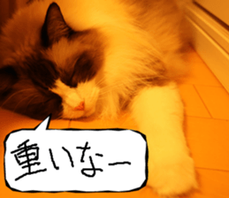 Instead tell the cat part6 sticker #13777954