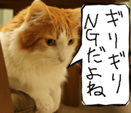 Instead tell the cat part6 sticker #13777956