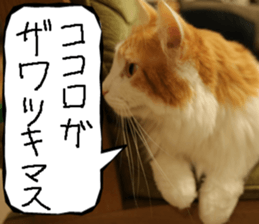 Instead tell the cat part6 sticker #13777961