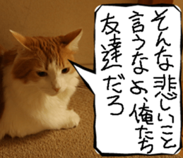 Instead tell the cat part6 sticker #13777966