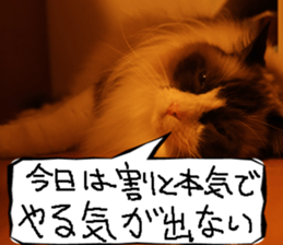 Instead tell the cat part6 sticker #13777971