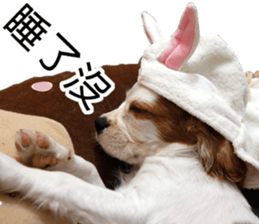 Da DOG Life sticker #13778448