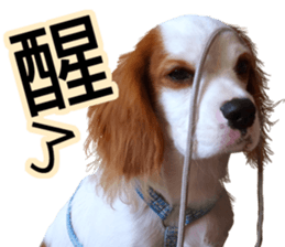 Da DOG Life sticker #13778449