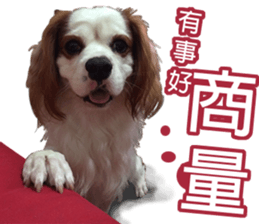 Da DOG Life sticker #13778455