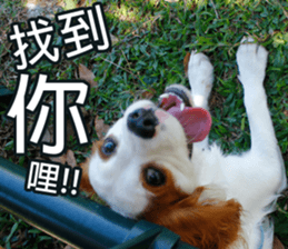 Da DOG Life sticker #13778461