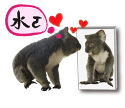 Koala's Daily talk (Chinese Version) sticker #13779382
