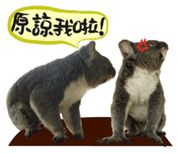 Koala's Daily talk (Chinese Version) sticker #13779386