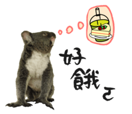 Koala's Daily talk (Chinese Version) sticker #13779391