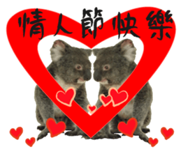 Koala's Daily talk (Chinese Version) sticker #13779392