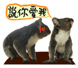 Koala's Daily talk (Chinese Version) sticker #13779394