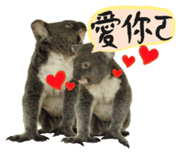 Koala's Daily talk (Chinese Version) sticker #13779395