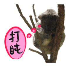 Koala's Daily talk (Chinese Version) sticker #13779396