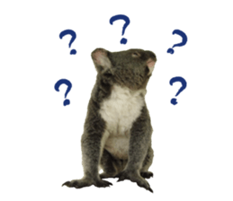 Koala's Daily talk (Chinese Version) sticker #13779400