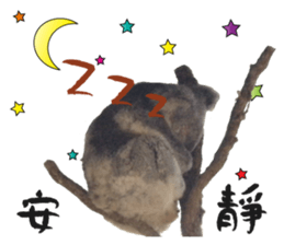 Koala's Daily talk (Chinese Version) sticker #13779401
