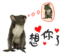 Koala's Daily talk (Chinese Version) sticker #13779404
