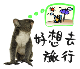 Koala's Daily talk (Chinese Version) sticker #13779405