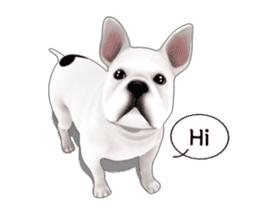 Cute and lovely French bulldog Animated sticker #13779926