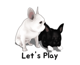 Cute and lovely French bulldog Animated sticker #13779928