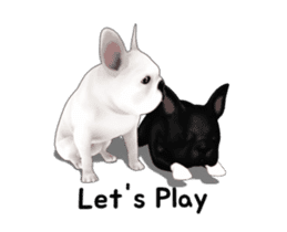 Cute and lovely French bulldog Animated sticker #13779928