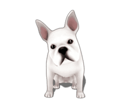 Cute and lovely French bulldog Animated sticker #13779930