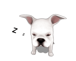 Cute and lovely French bulldog Animated sticker #13779932
