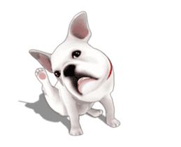 Cute and lovely French bulldog Animated sticker #13779937