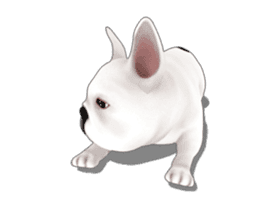 Cute and lovely French bulldog Animated sticker #13779940