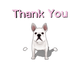 Cute and lovely French bulldog Animated sticker #13779941