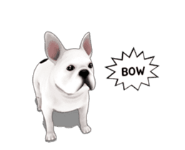 Cute and lovely French bulldog Animated sticker #13779943