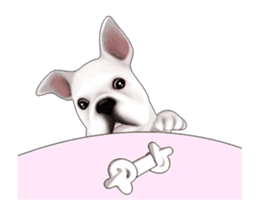 Cute and lovely French bulldog Animated sticker #13779947
