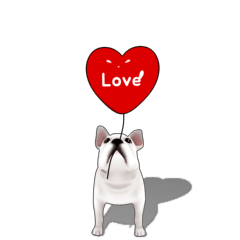Cute and lovely French bulldog Animated