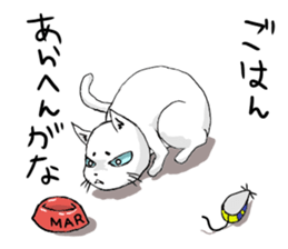cat is maro sticker #13780285
