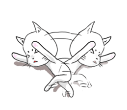 cat is maro sticker #13780293