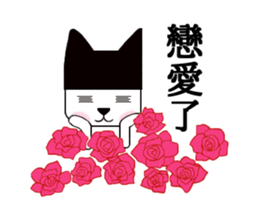 Black hat cat 2 sticker #13780744