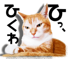 Cat of Roux. sticker #13782101