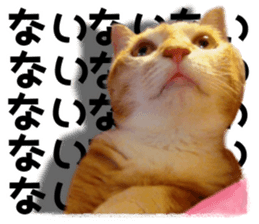 Cat of Roux. sticker #13782105